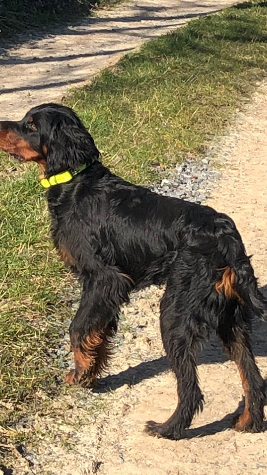 Vince de la campagne gravée